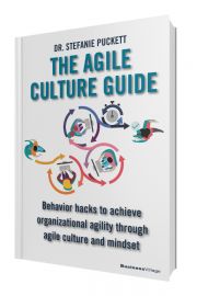 THE AGILE CULTURE CODE: A guide to organizational agility